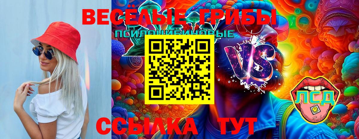 Псилоцибиновые грибы MAGIC MUSHROOMS Майкоп