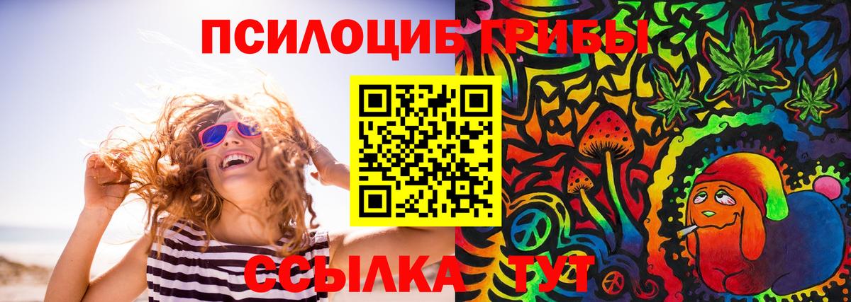 Псилоцибиновые грибы Psilocybe  Вход с VPN  Майкоп 